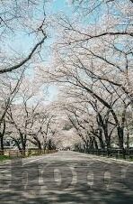 kaiyun体育官网网页登录入口-进入kaiyun体育官网的多种方式
